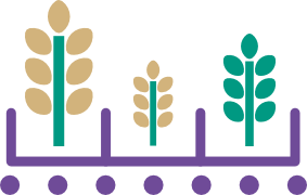 collection_varietale